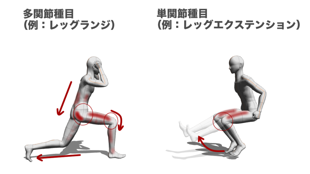 コンパウンド種目とアイソレート種目の違いを説明した図