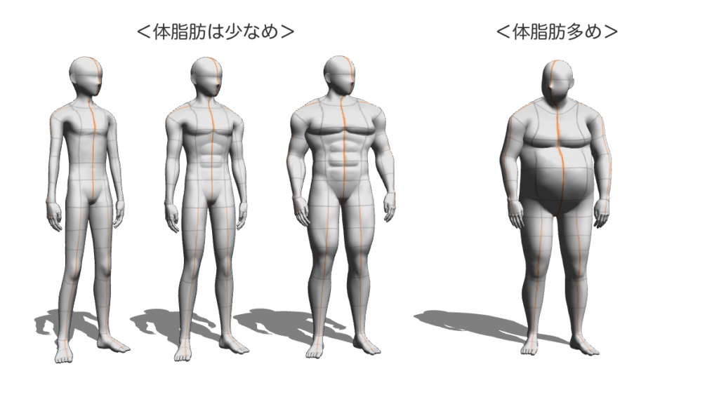 引き締まった体型と肥満体型の比較