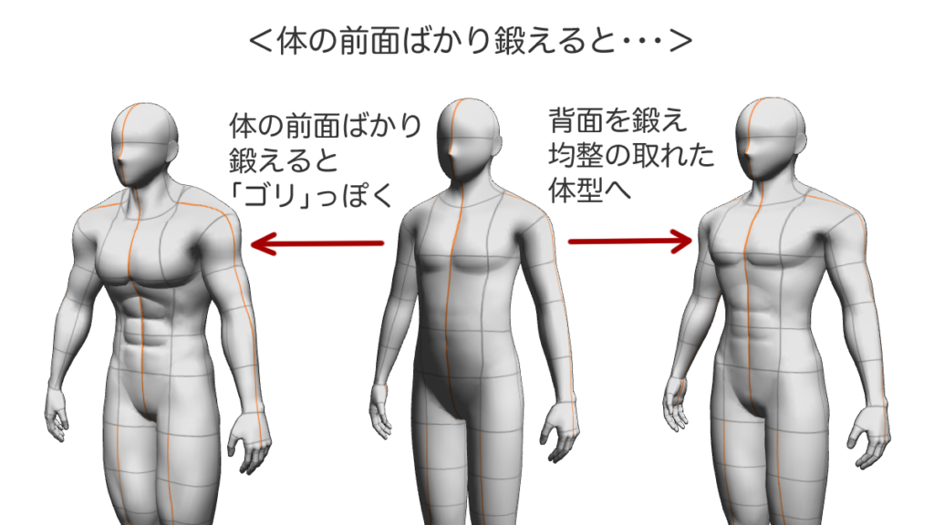 体の前面ばかり鍛えると姿勢が悪くなる