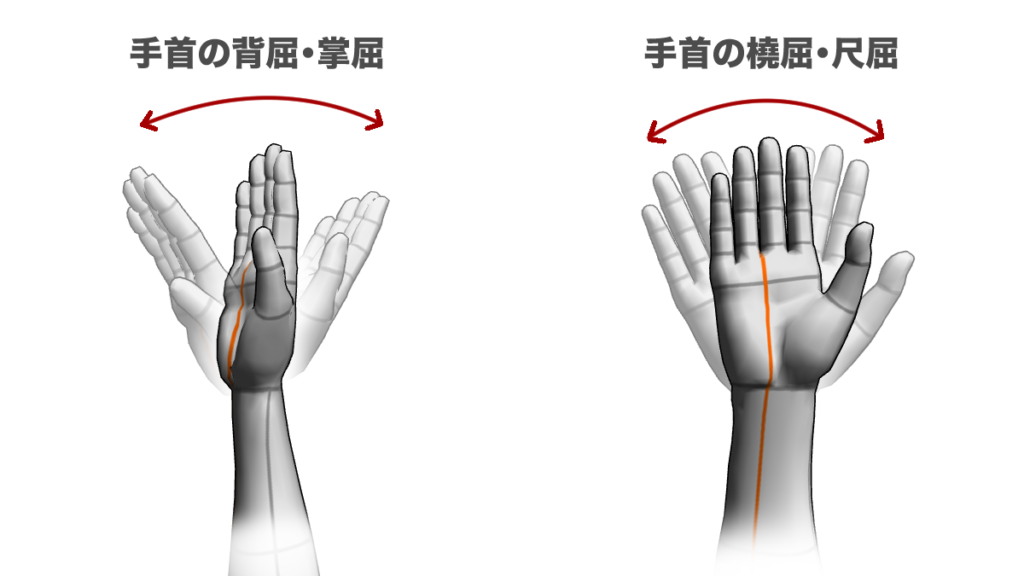 手首の動き方